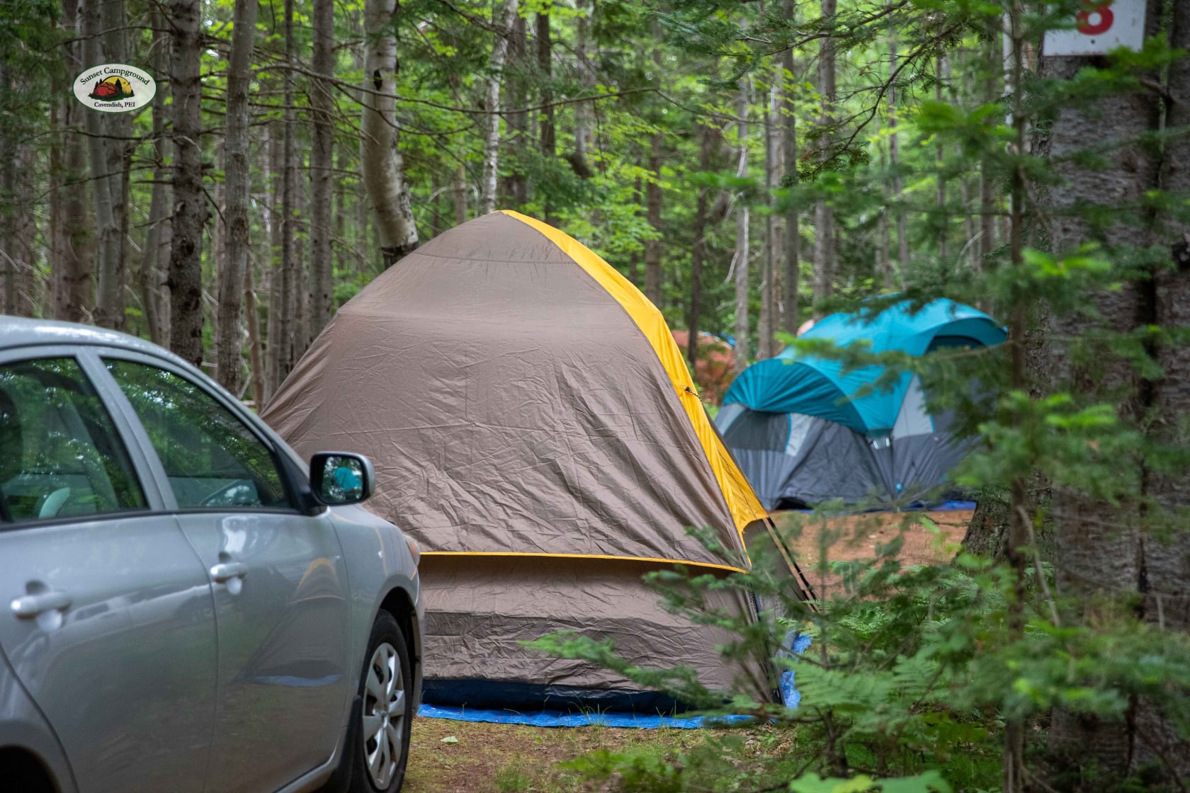 Campsites Cavendish Sunset Campground